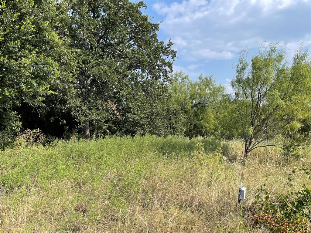 1009 County Road 197 Property Photo