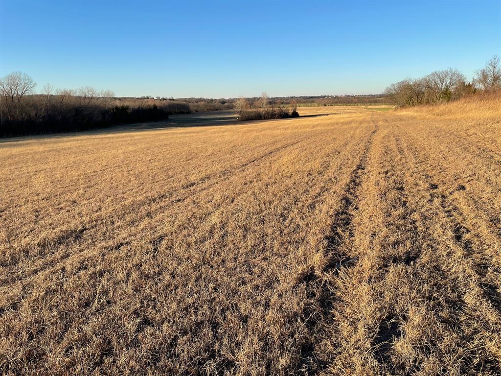 61.96ac Mary Fitch Road Property Photo