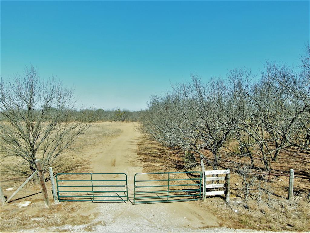 Tbd County Road 163 Property Photo
