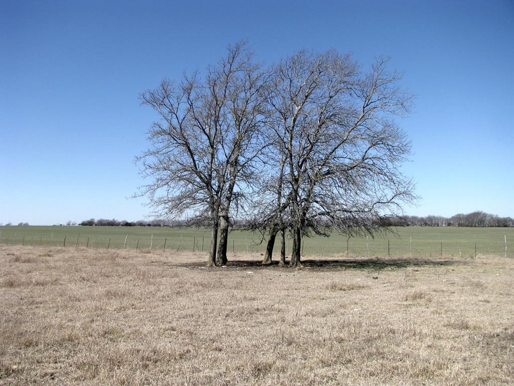 Tbd-16.5 County Road 220 Property Photo