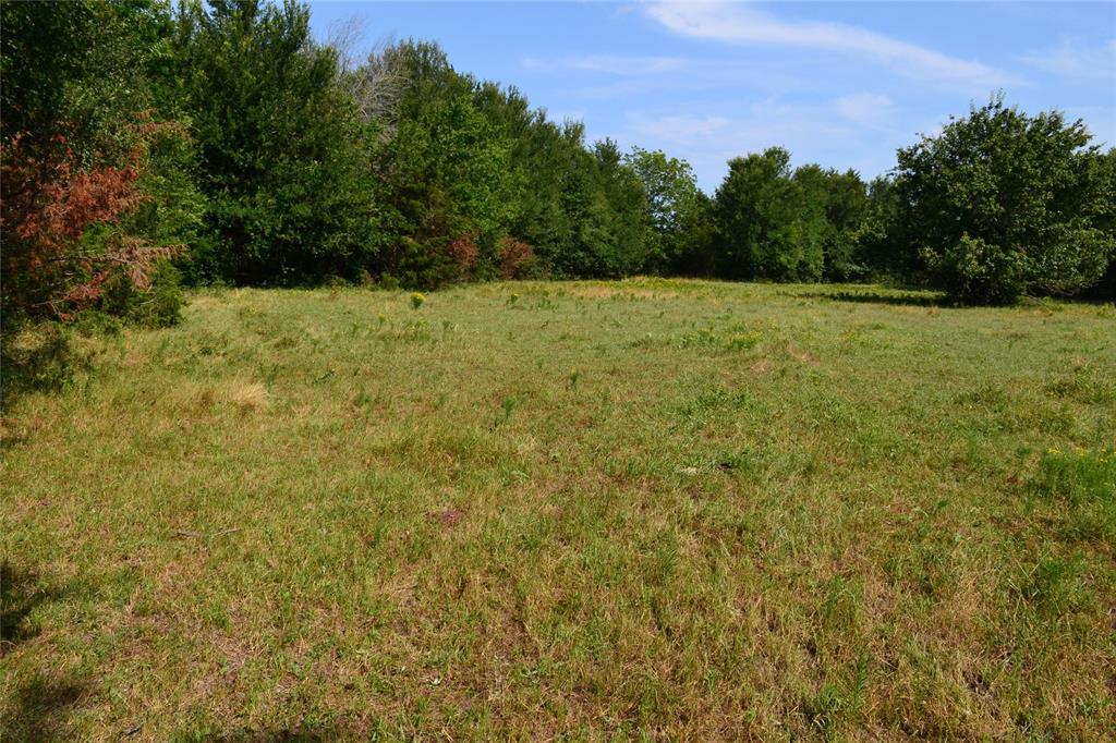 Tract 2 Tbd County Road 2244 Road Property Photo