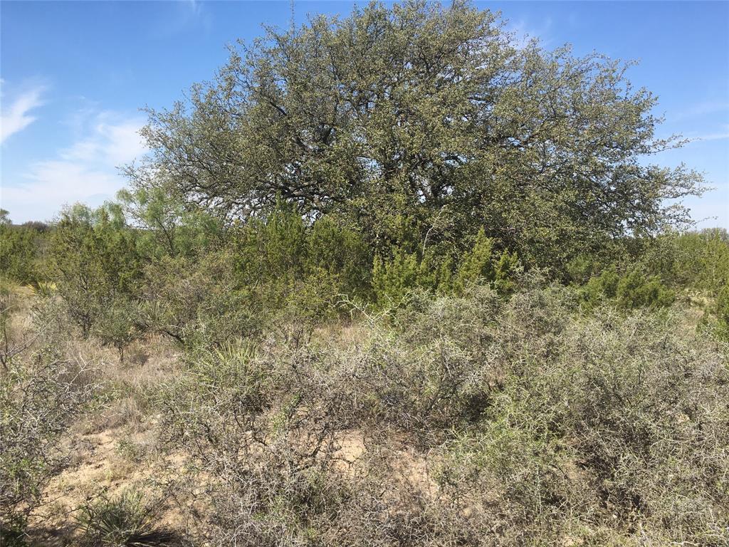 355 Bison Road Property Photo