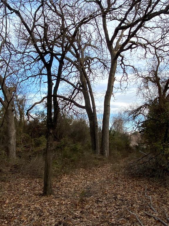 Lot 113 Cr 175 Property Photo