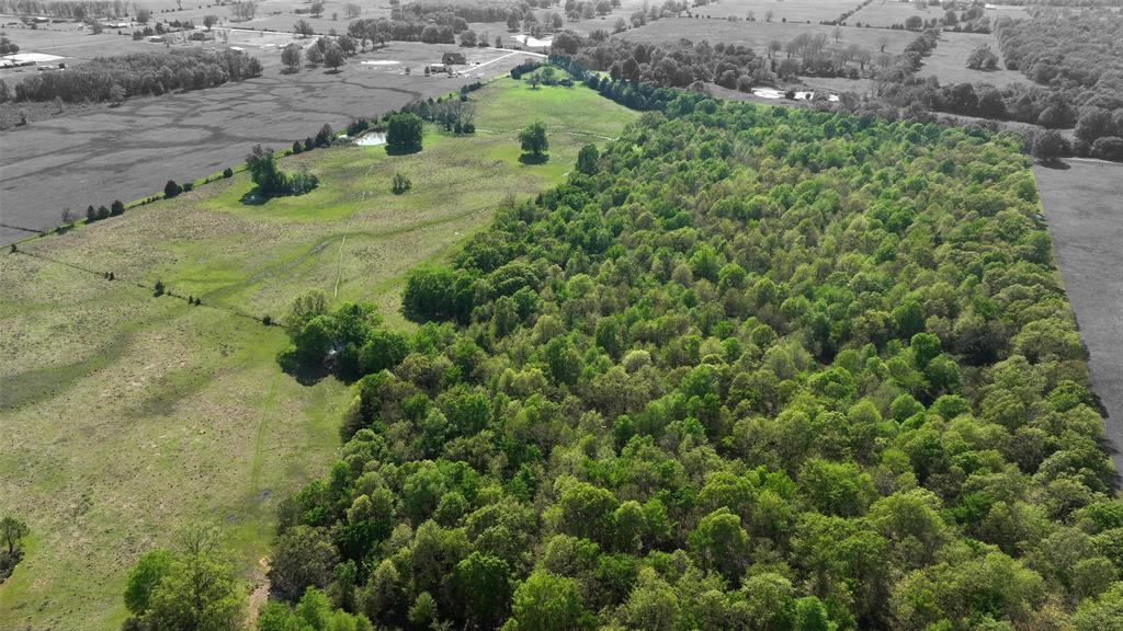 Tbd Farm Road 1502 Property Photo