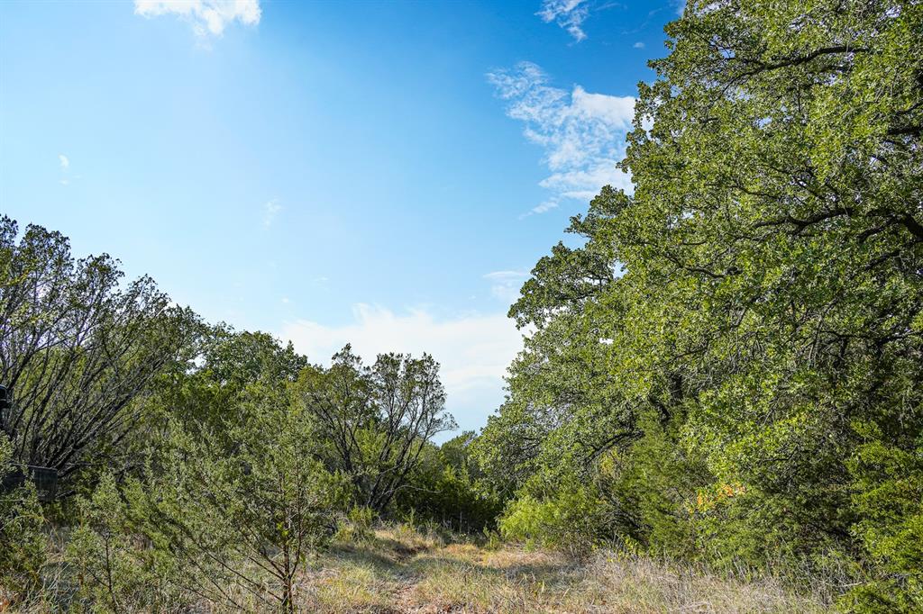 Tbd County Road 188 Property Photo 3