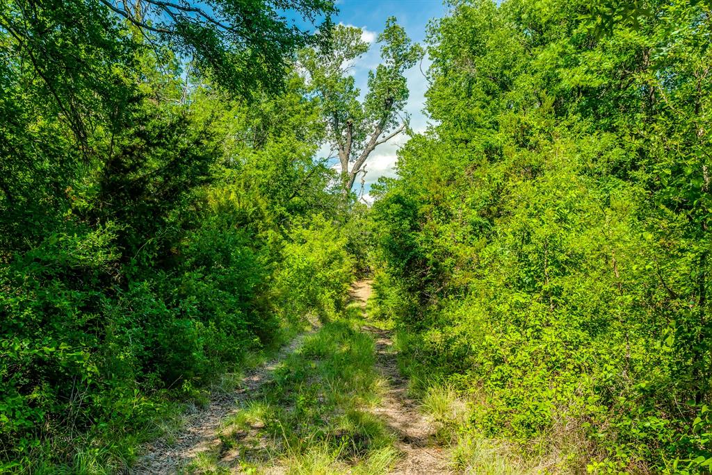 Tbd County Road 188 Property Photo 5