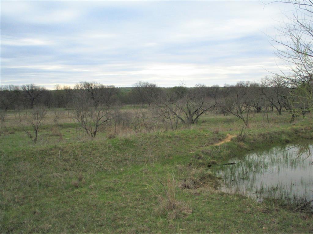 Tr 4 County Line Road Property Photo