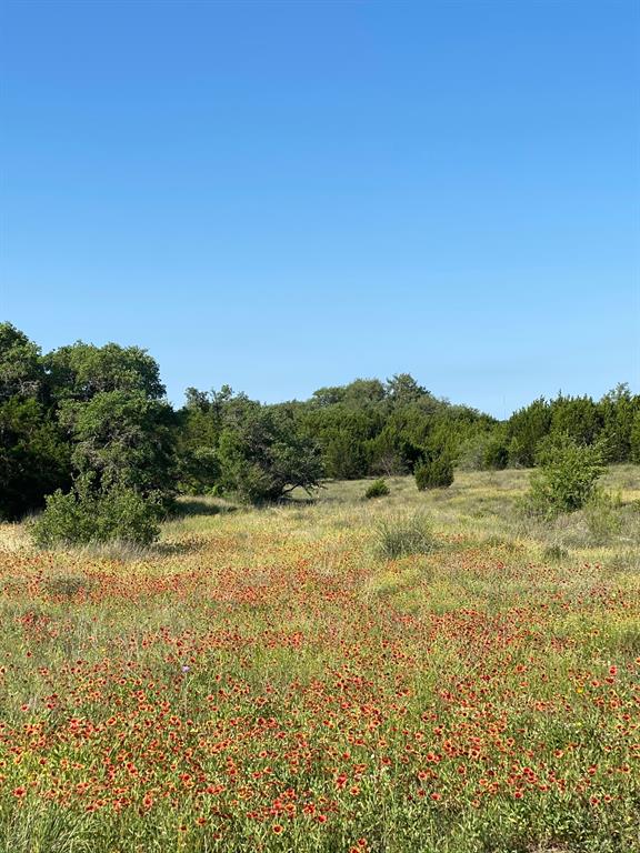 2078 Ranch Rd 962 W Lot 6 Blk A Property Photo
