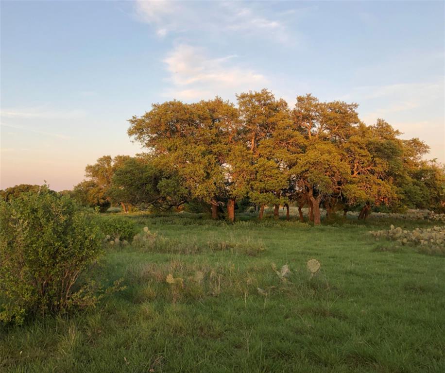 2078 Ranch Rd 962 W Lot 35 Blk A Property Photo