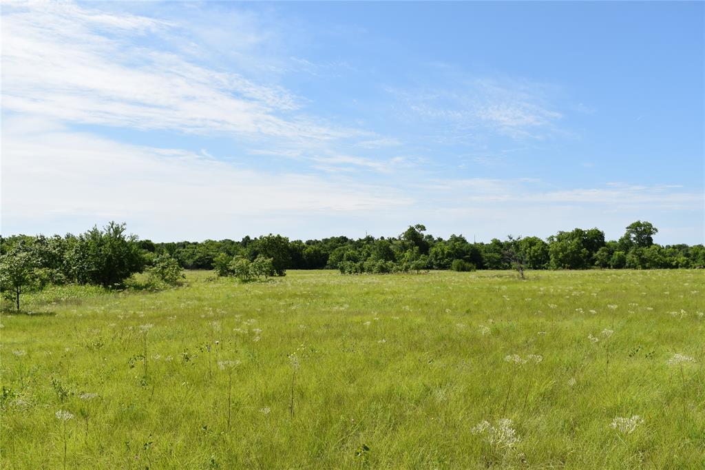 Lot 9 County Rd 410 Property Photo