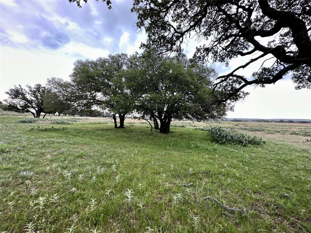 Tbd25 County Road 128 Property Photo