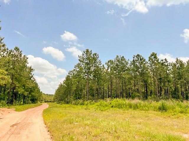 0000 County Road 1325 Property Photo