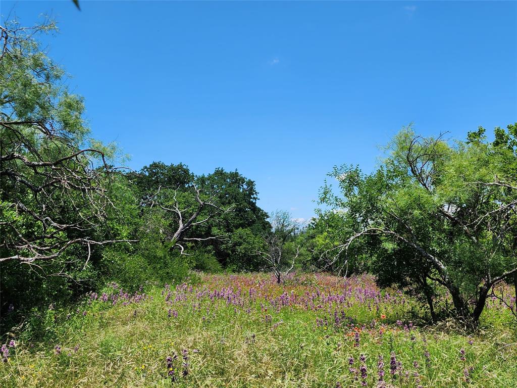 Tbd County Rd 127 Property Photo