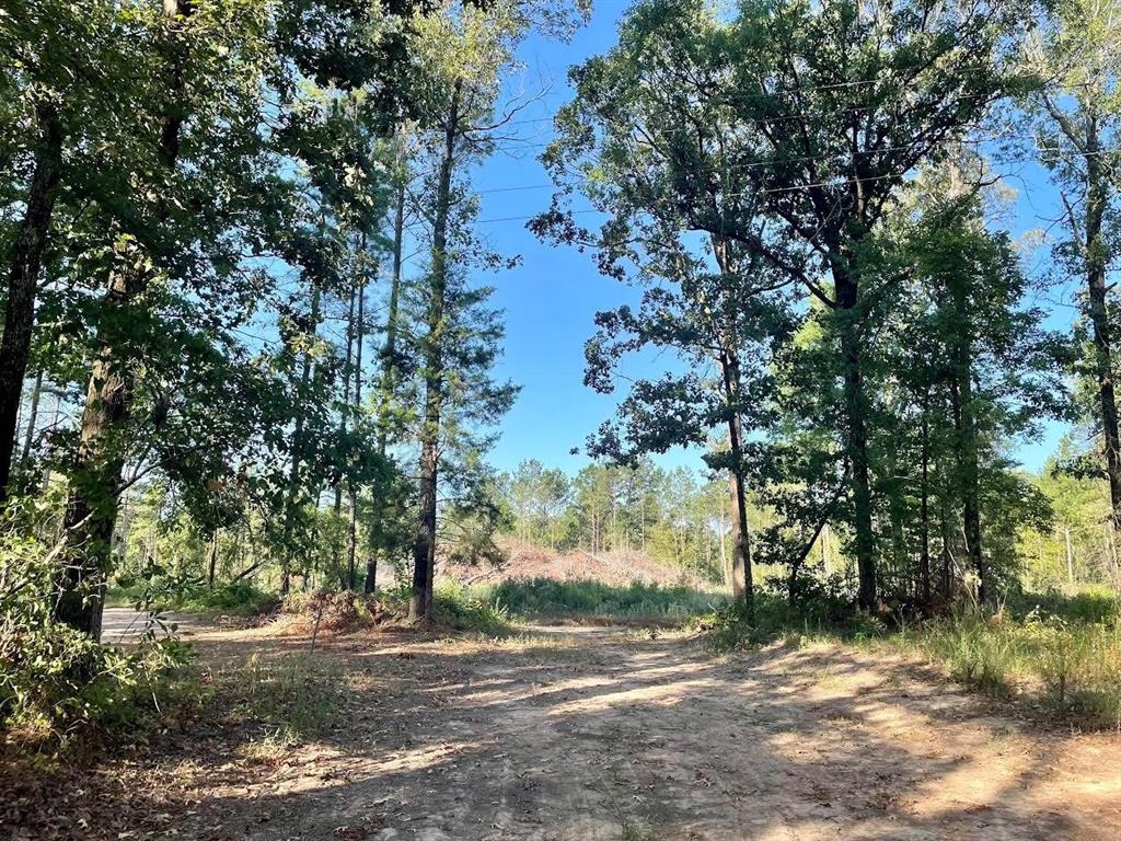 0 Vivian Airport Road Property Photo