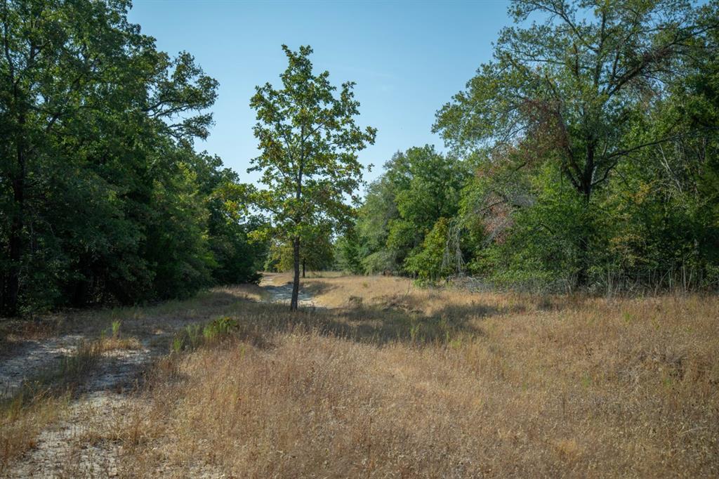 Tbd S Tidwell Prairie Road Property Photo