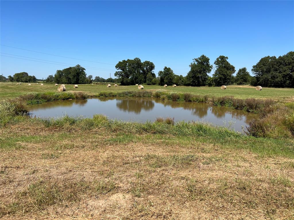 Tract 3 County Road 4311 Property Photo