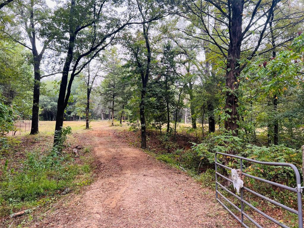 Tbd County Rd 2295 Property Photo