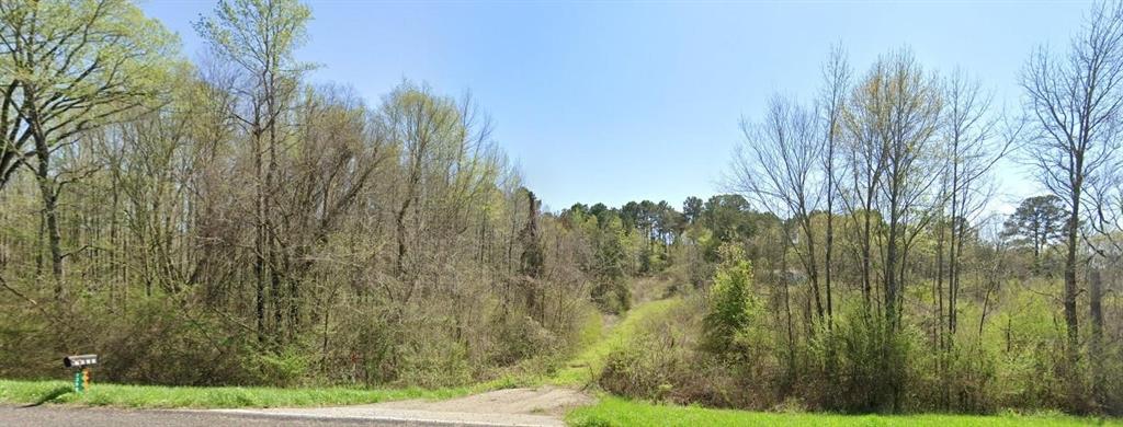 1399 State Highway 64 Property Photo 1