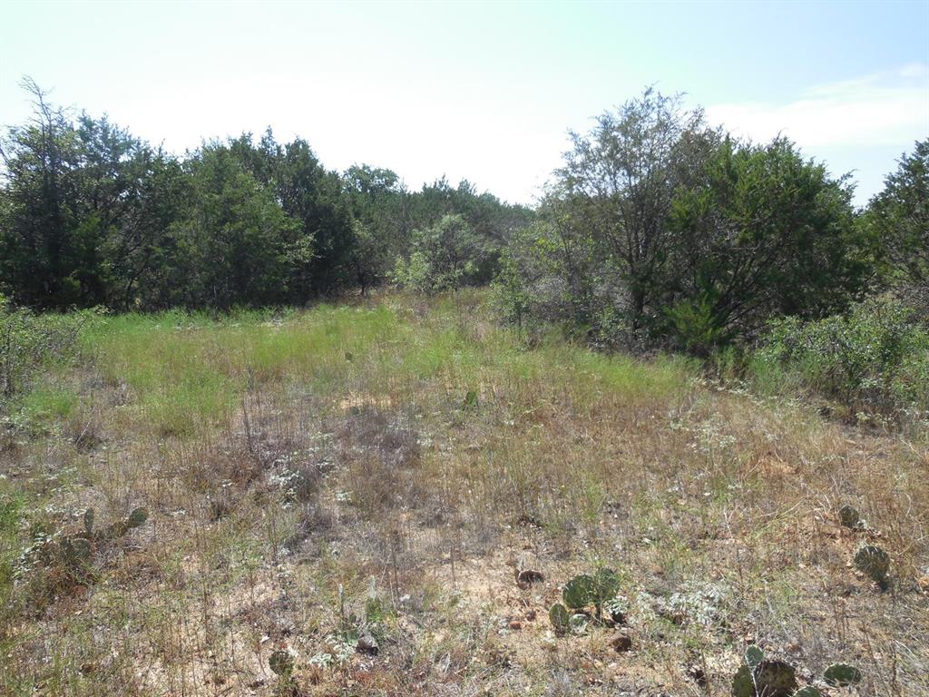 Lot 41 County Road 136 Property Photo