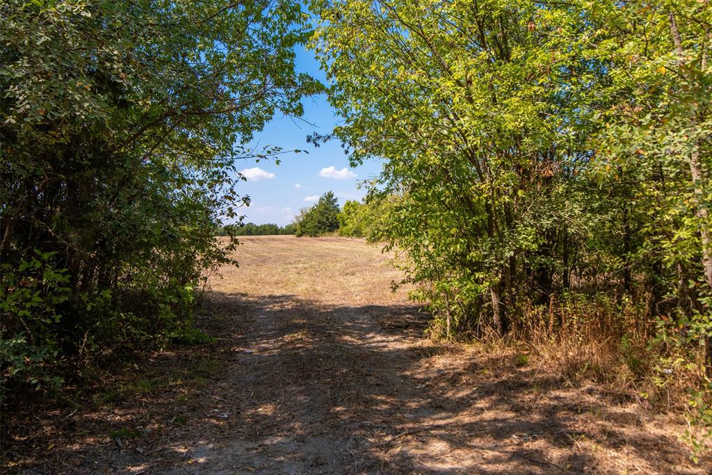 Tbd County Road 635 Property Photo