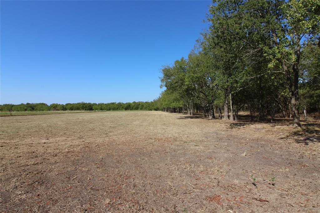 Tbd - County Road 4506 Property Photo