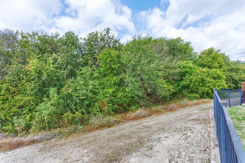 2701 Laurel Oak Drive Property Photo 3