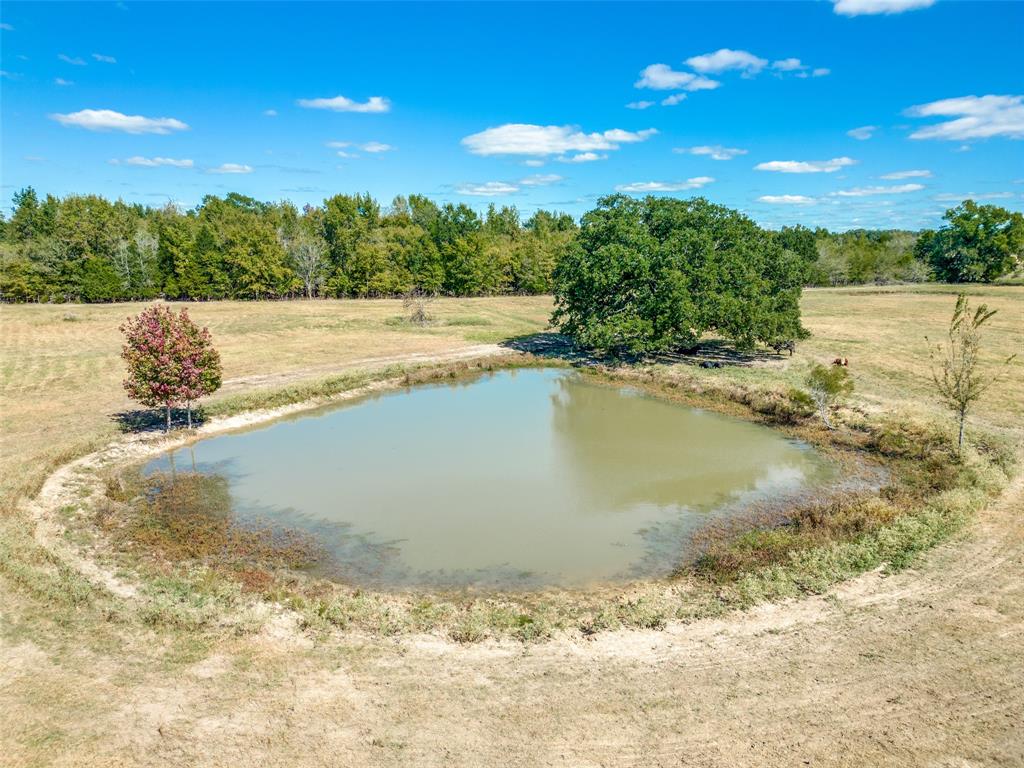 Tbd 21 Acres County Road 2428 Property Photo