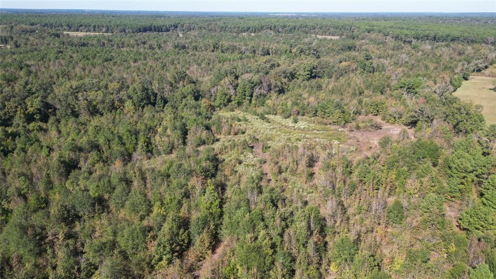 Tbd Mistletoe Rd Property Photo 1