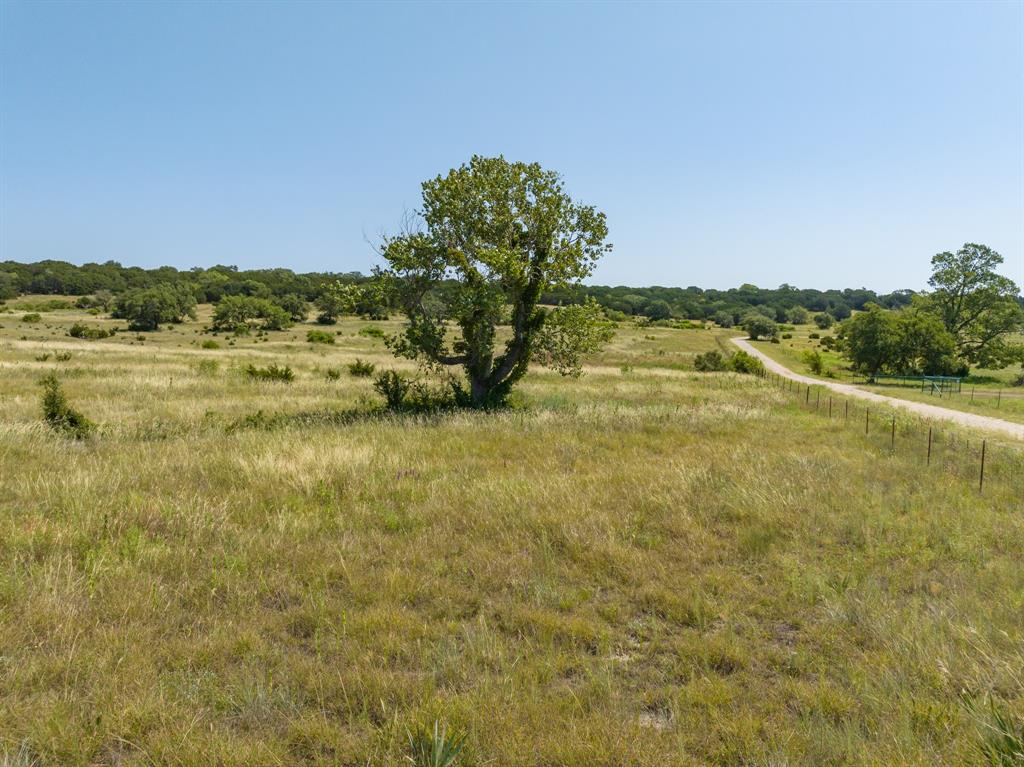 Tbd Bear Branch Road Property Photo