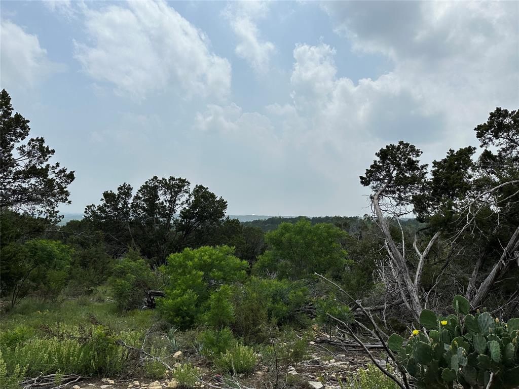 Lot 29 County Road 302 Property Photo