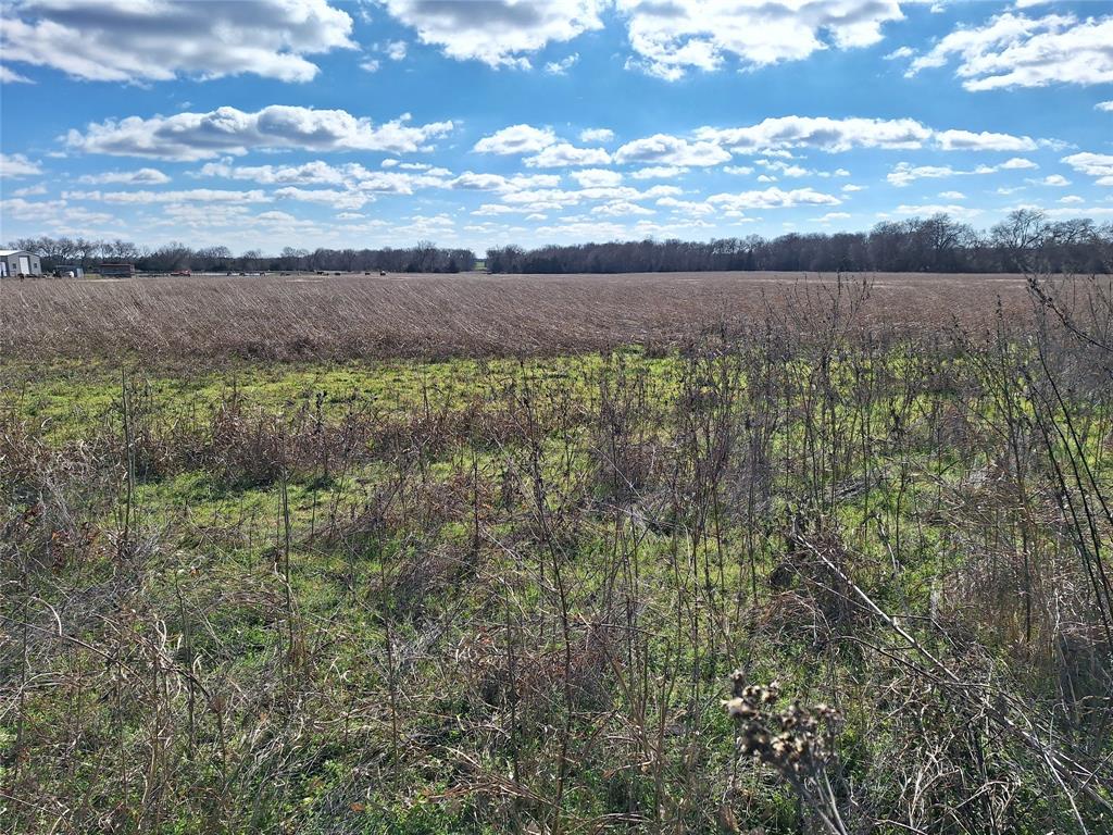 000 County Rd 4145 Property Photo