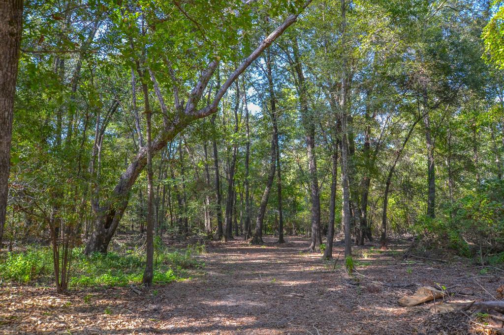 0 County Road 3514 Property Photo