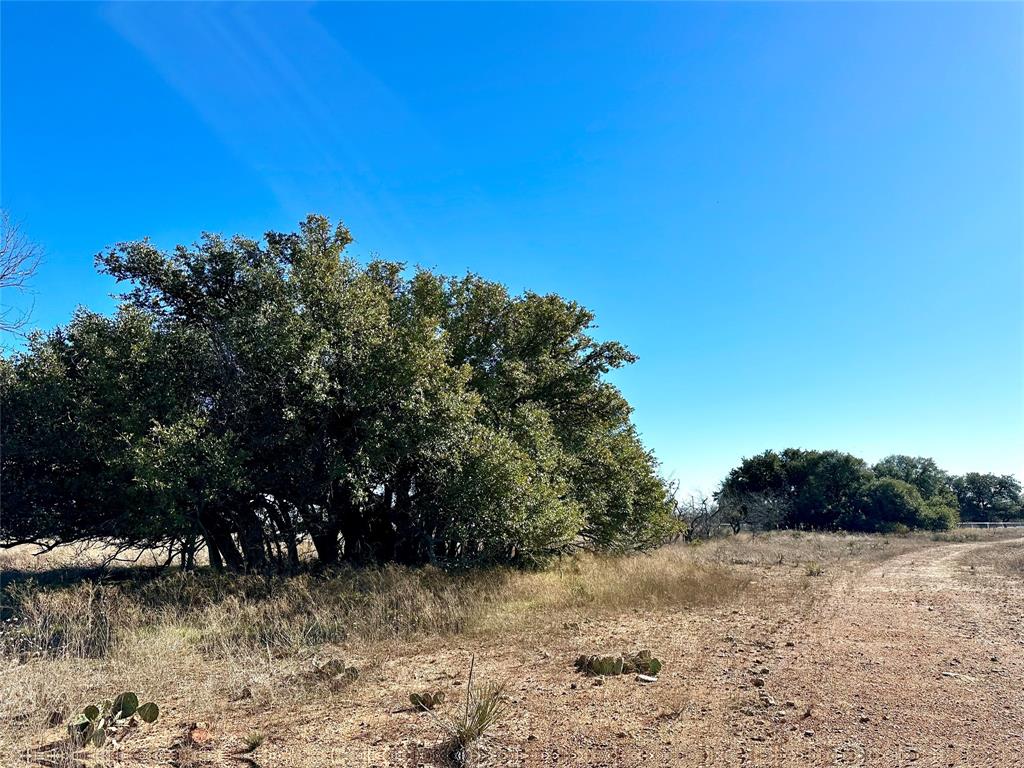 78.5 Ac Hwy 279 Property Photo