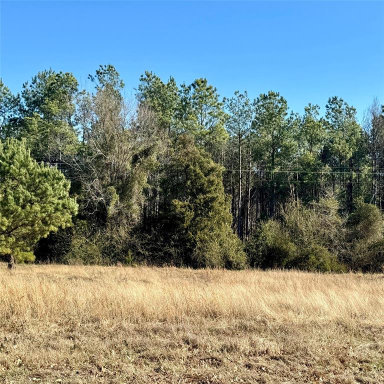 Lot 29 Twin Springs Trail Property Photo