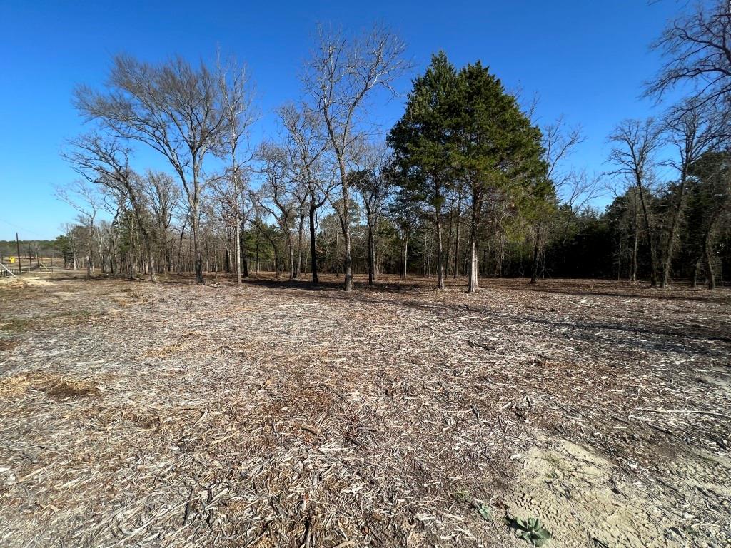 19385 Fm 16 Road Property Photo