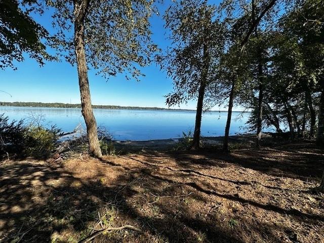 Legacy Shores Lot 21 3142 Shadow Pine Drive Property Photo
