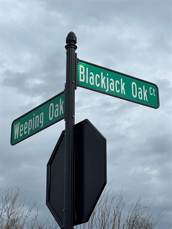 6289 Blackjack Oak Court Property Photo