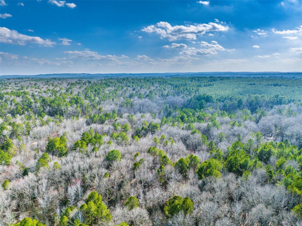 1301 An County Road 3552 Property Photo