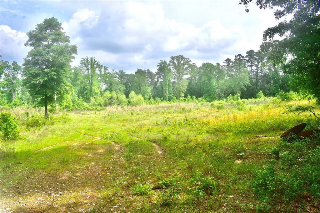 Tbd Noonday Road Property Photo