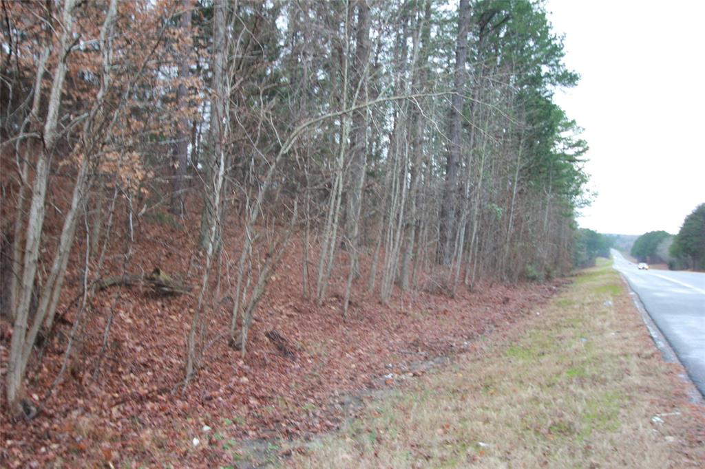 Tract 53.1 Hwy 31 Property Photo