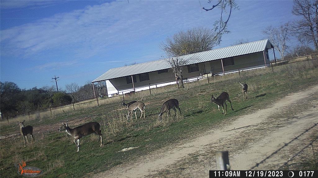 1690 County Road 530 Property Photo