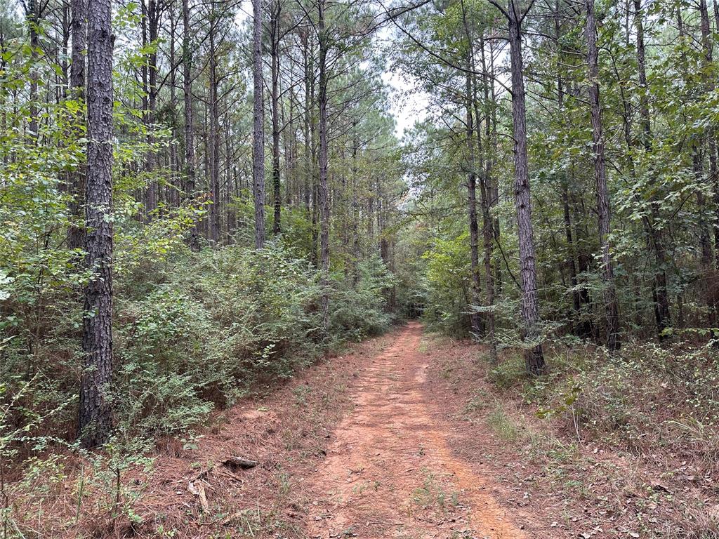 0 Quarter-mile North Of Petty Road Property Photo