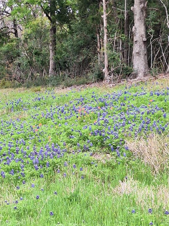 Fm 3371 Fm-3371 Path Property Photo