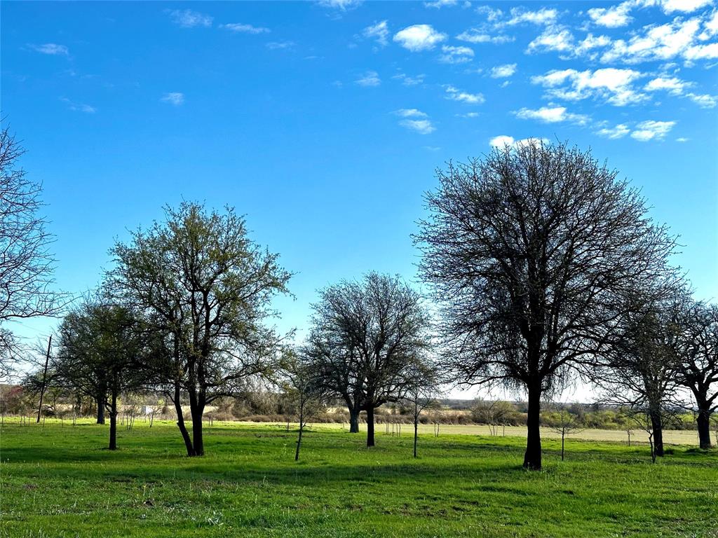 Tbd County Road 377 Property Photo