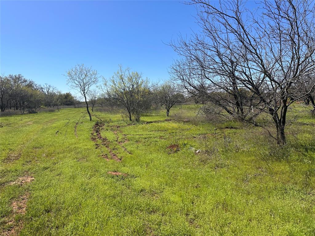 13288 County Road 136 Property Photo