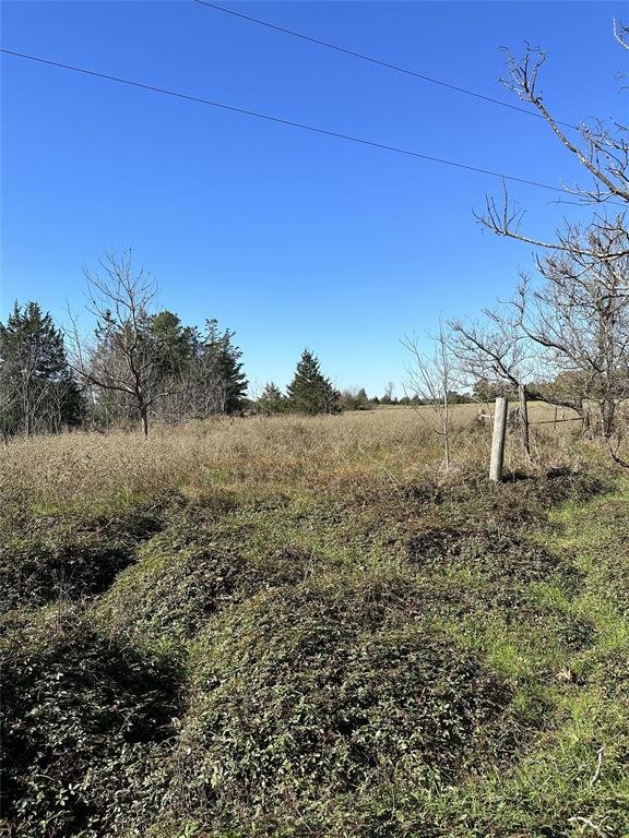 0 Co Rd 1130 Property Photo