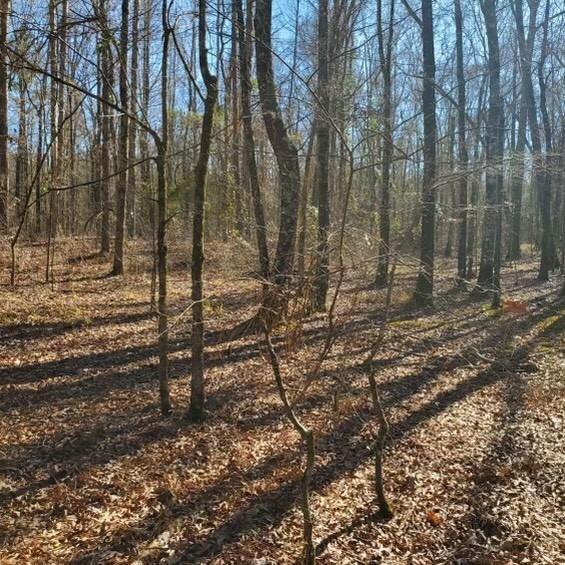 0 Richwood Trail Property Photo 1