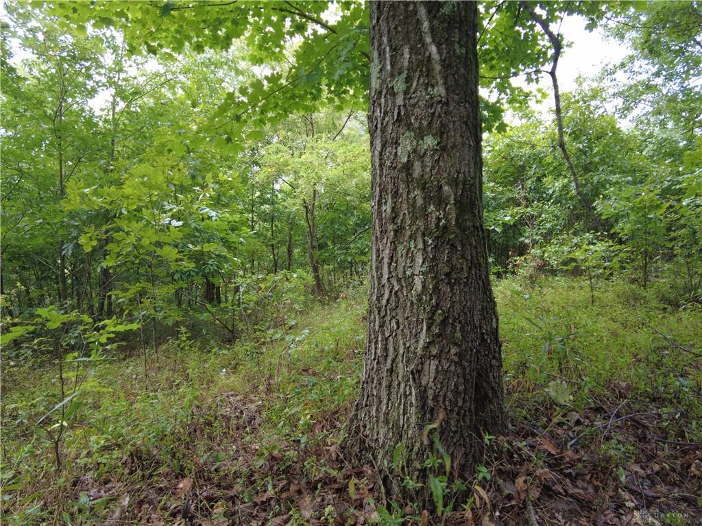159 Ac Twin Valley Property Photo 4