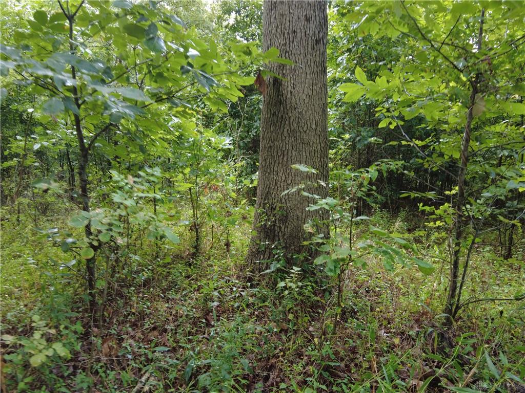 159 Ac Twin Valley Property Photo 5