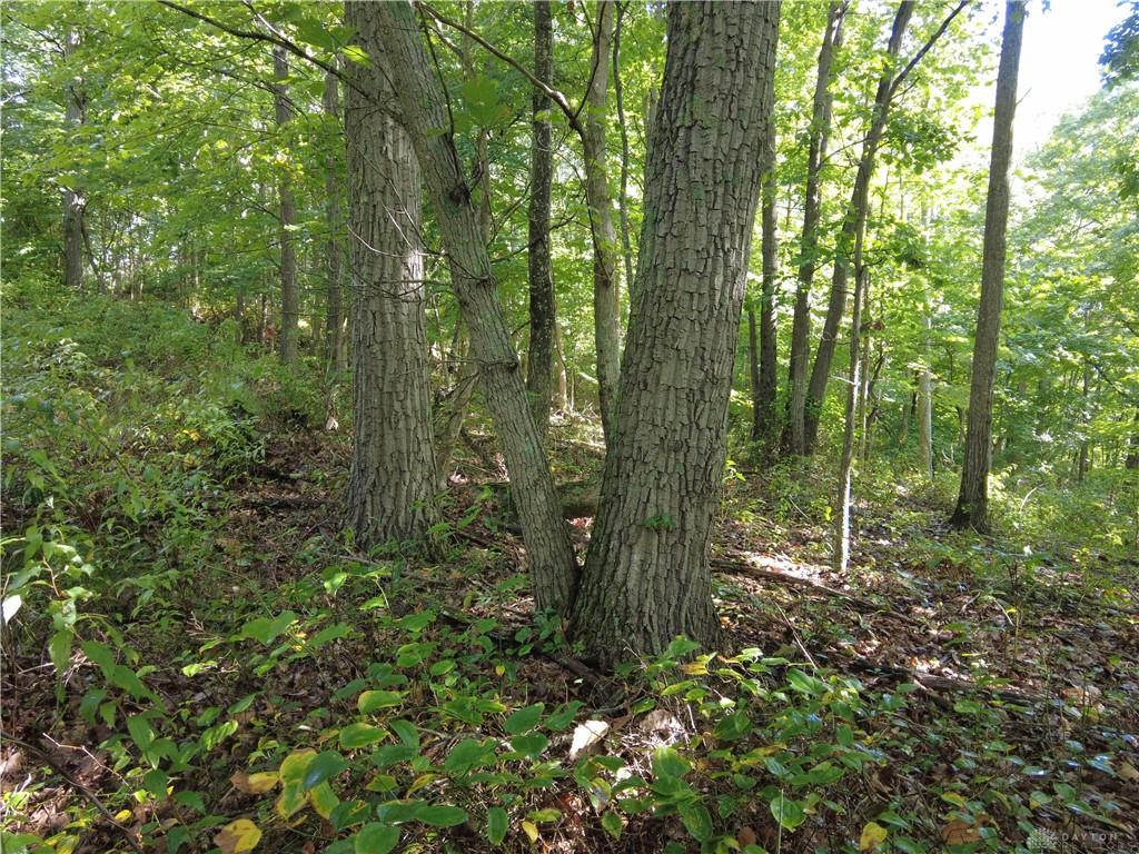 159 Ac Twin Valley Property Photo 13